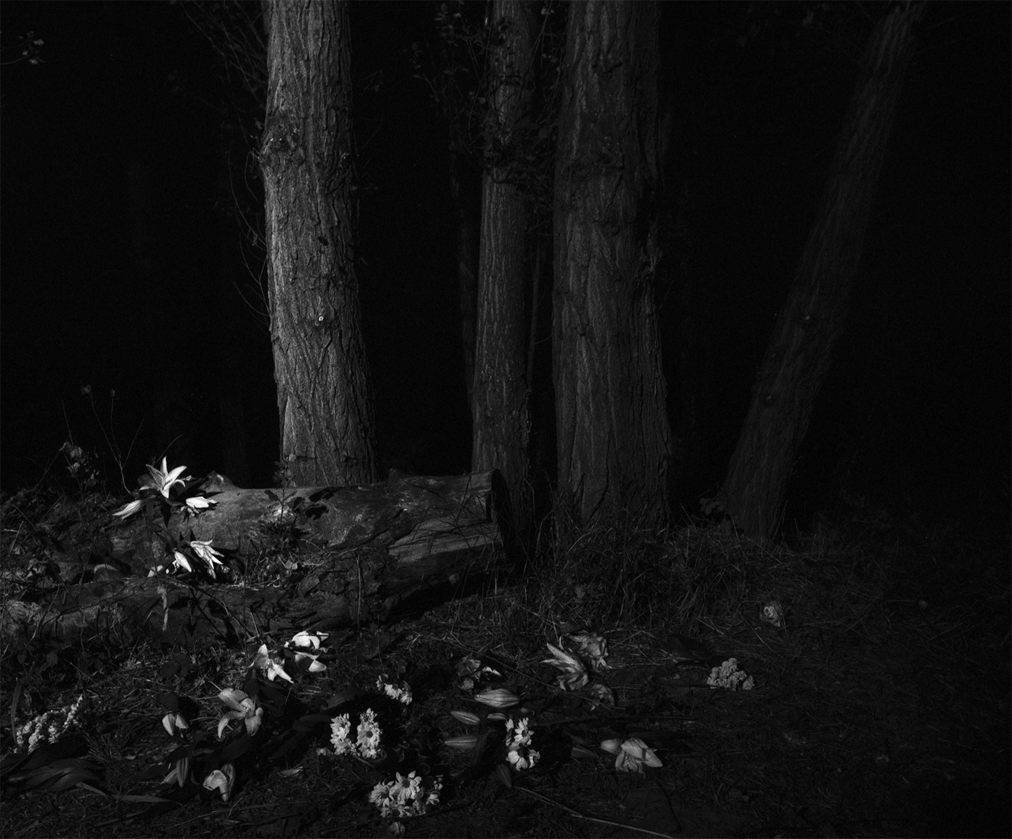 photo vincent toulotte/Fantômes noir et blanc